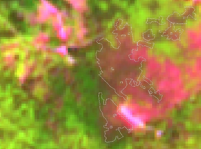 Satellitenbild von Borkenkäferbefall