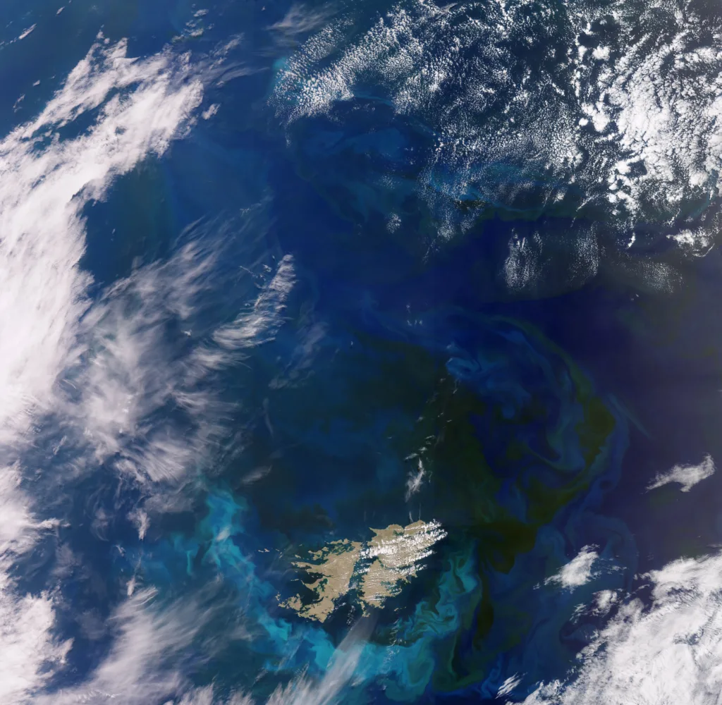 Satellitenbild Algenblüte im Südatlantik 2023